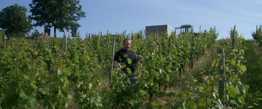 Weinberg www.weingutschmitz.de